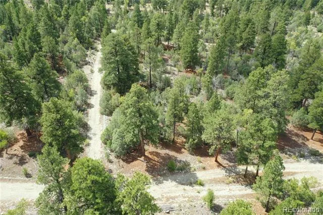 Big Bear Road Mosca, CO 81146