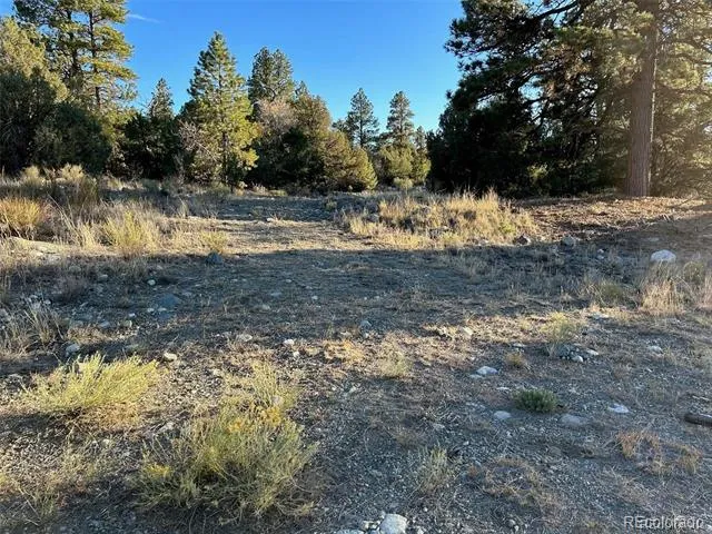 Big Bear Road Mosca, CO 81146