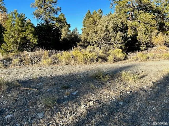 Big Bear Road Mosca, CO 81146