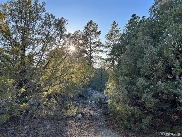 Big Bear Road Mosca, CO 81146