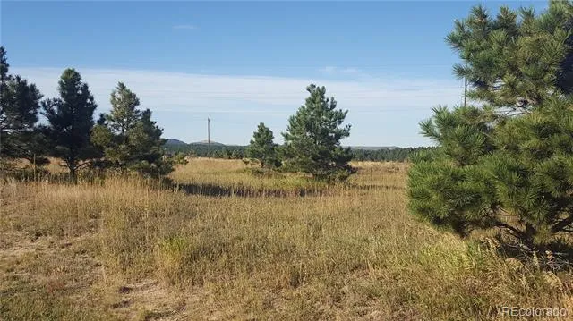 Address Not Shown Monument, CO 80132