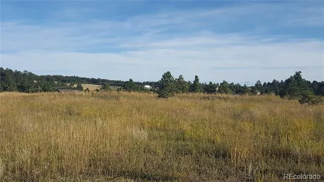 Address Not Shown Monument, CO 80132