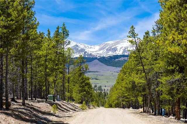 758 Spruce Drive Twin Lakes, CO 80461