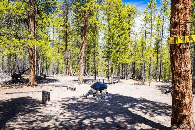 758 Spruce Drive Twin Lakes, CO 80461