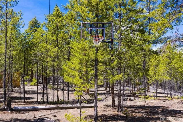 758 Spruce Drive Twin Lakes, CO 80461