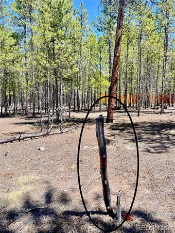 758 Spruce Drive Twin Lakes, CO 80461