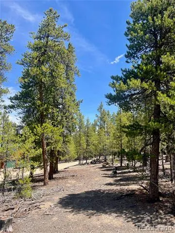 758 Spruce Drive Twin Lakes, CO 80461