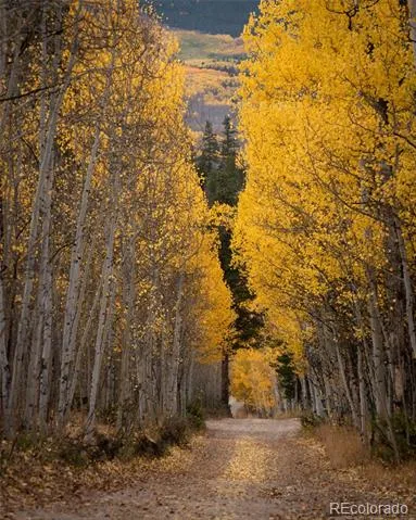 758 Spruce Drive Twin Lakes, CO 80461