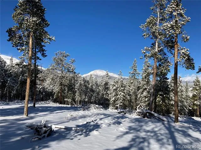 758 Spruce Drive Twin Lakes, CO 80461