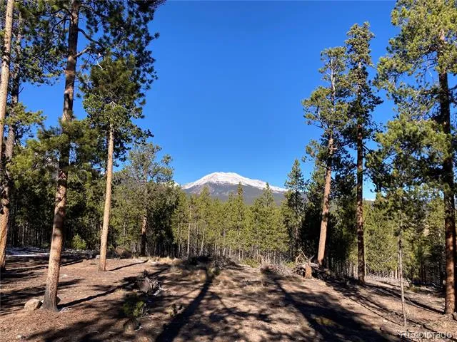 758 Spruce Drive Twin Lakes, CO 80461
