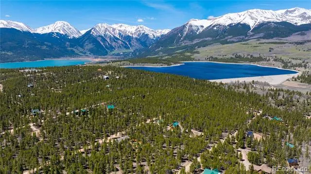 758 Spruce Drive Twin Lakes, CO 80461