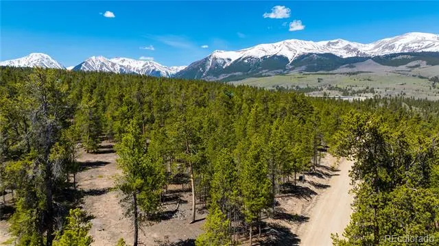 758 Spruce Drive Twin Lakes, CO 80461