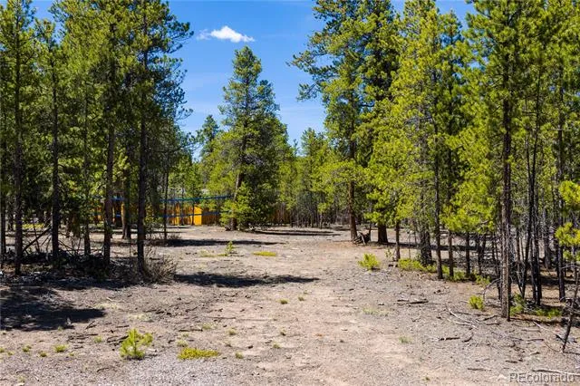 758 Spruce Drive Twin Lakes, CO 80461