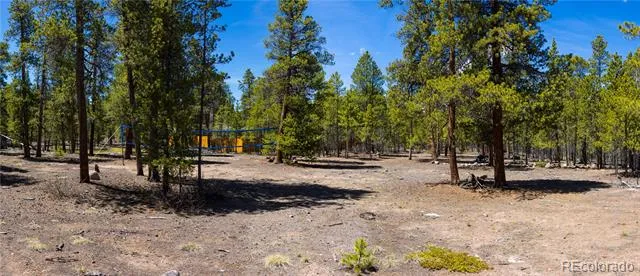 758 Spruce Drive Twin Lakes, CO 80461