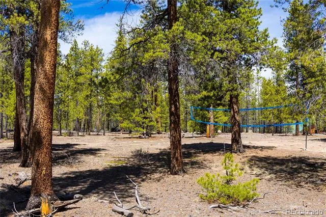 758 Spruce Drive Twin Lakes, CO 80461