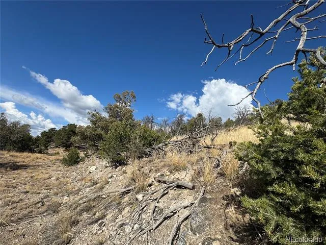 0 27th Trail Cotopaxi, CO 81223