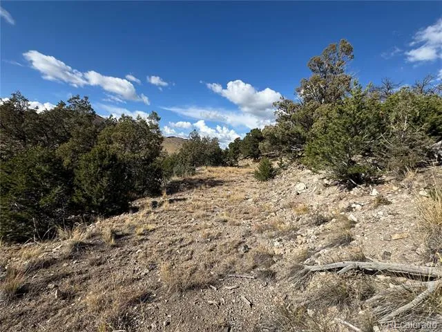 0 27th Trail Cotopaxi, CO 81223