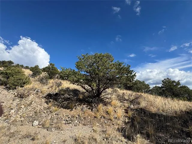 0 27th Trail Cotopaxi, CO 81223
