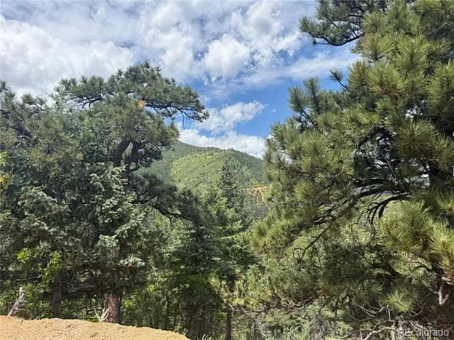 358 Sugarloaf Manitou Springs, CO 80829