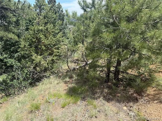 358 Sugarloaf Manitou Springs, CO 80829