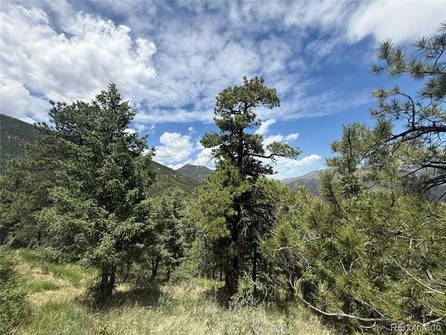 358 Sugarloaf Manitou Springs, CO 80829