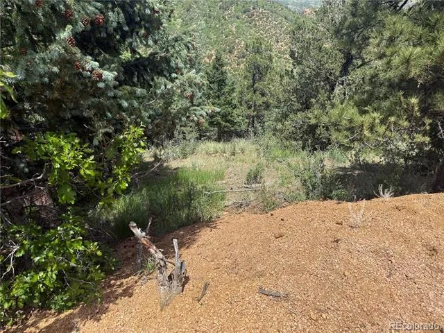 358 Sugarloaf Manitou Springs, CO 80829