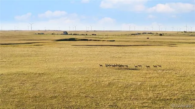 36565 Hanisch Road Calhan, CO 80808