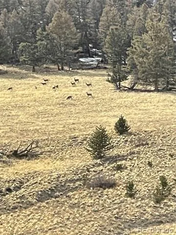 5123 Bar D Road Como, CO 80432