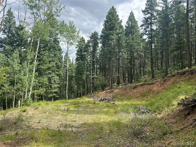 272 Fern Valley Manitou Springs, CO 80829