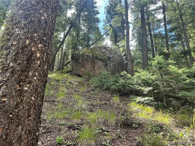 272 Fern Valley Manitou Springs, CO 80829