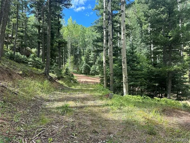 272 Fern Valley Manitou Springs, CO 80829