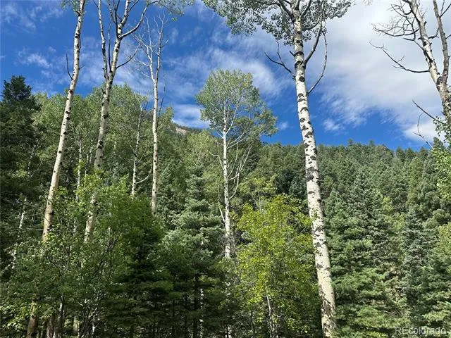 272 Fern Valley Manitou Springs, CO 80829