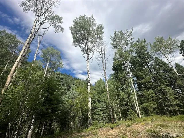 272 Fern Valley Manitou Springs, CO 80829