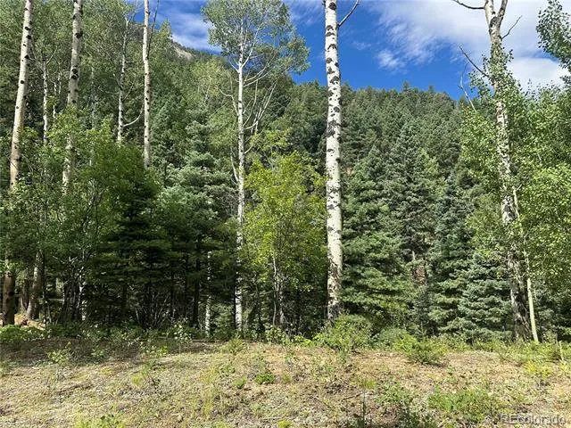 272 Fern Valley Manitou Springs, CO 80829