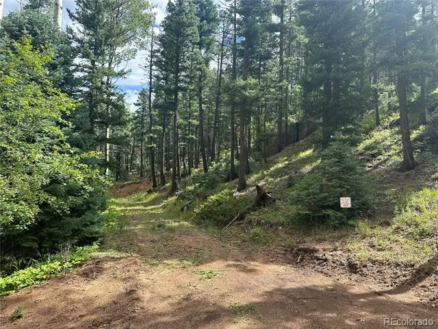 272 Fern Valley Manitou Springs, CO 80829