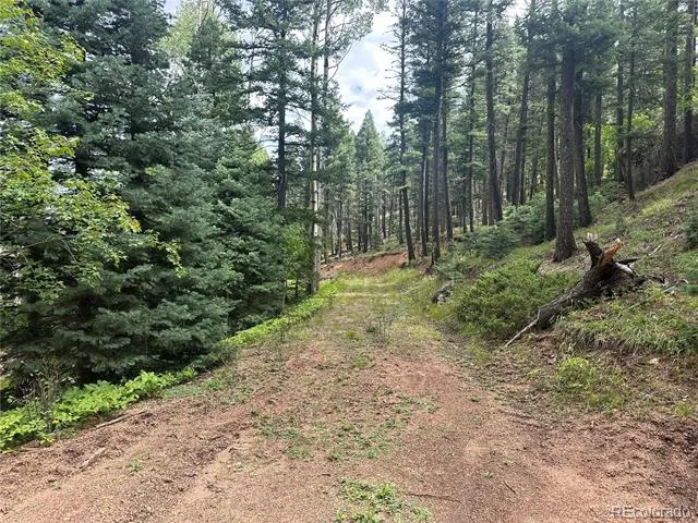 272 Fern Valley Manitou Springs, CO 80829
