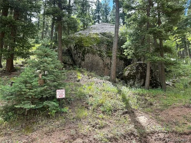 272 Fern Valley Manitou Springs, CO 80829