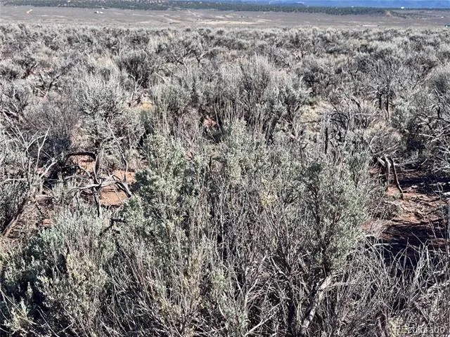 Lots 3036,3040 Patricia Rd Fort Garland, CO 81133