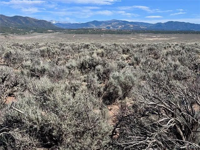 Lots 3036,3040 Patricia Rd Fort Garland, CO 81133