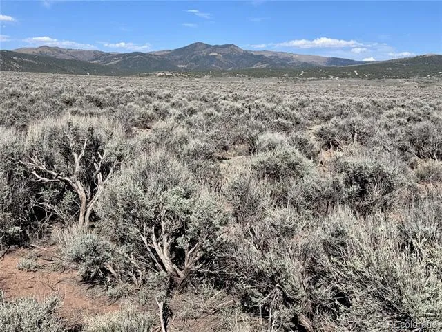 Lots 3036,3040 Patricia Rd Fort Garland, CO 81133