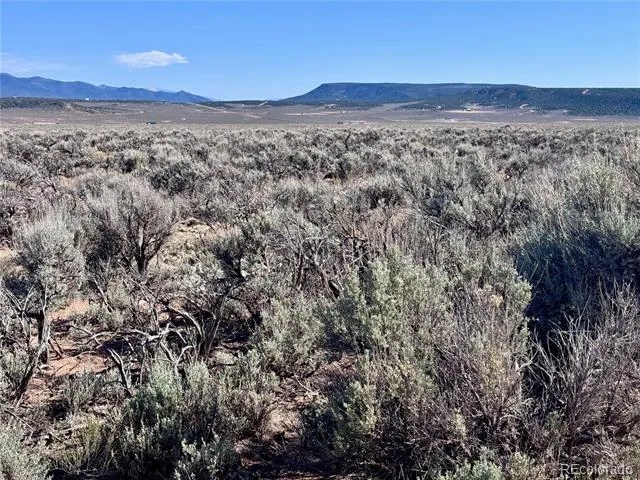 Lots 3036,3040 Patricia Rd Fort Garland, CO 81133