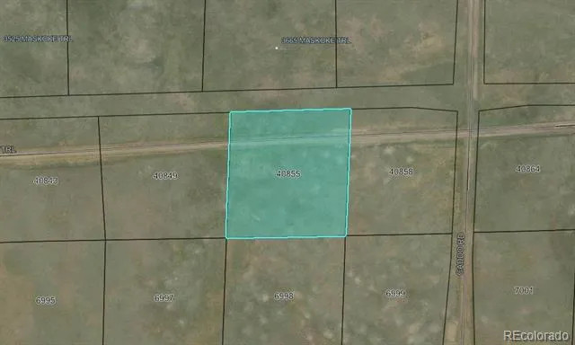 00 Maskoke Trail Hartsel, CO 80449