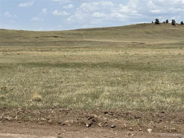 00 Maskoke Trail Hartsel, CO 80449