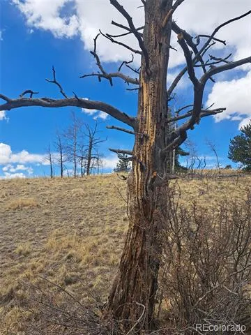 000 Kiowa Street Como, CO 80432
