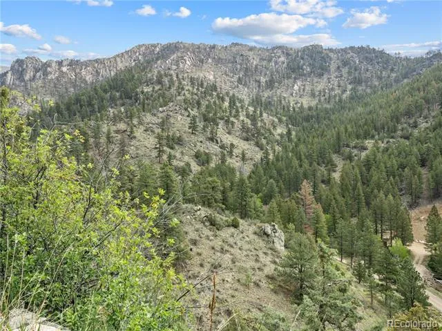 164 Copper Hill Road Glen Haven, CO 80532