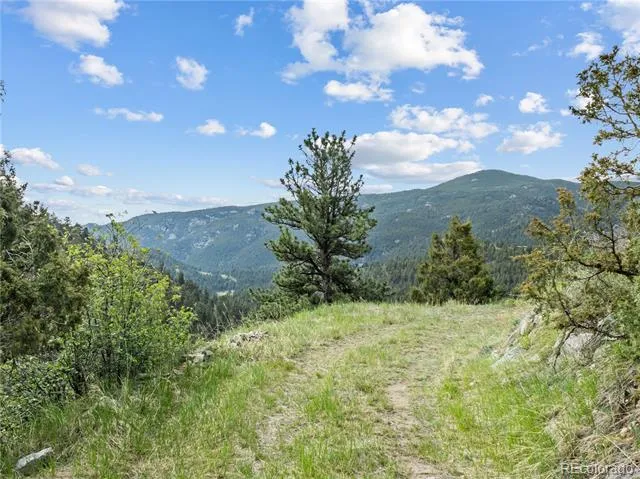 164 Copper Hill Road Glen Haven, CO 80532