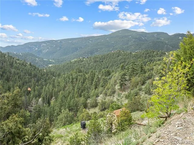 164 Copper Hill Road Glen Haven, CO 80532