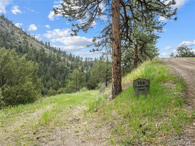 164 Copper Hill Road Glen Haven, CO 80532