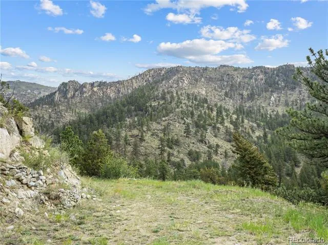 164 Copper Hill Road Glen Haven, CO 80532