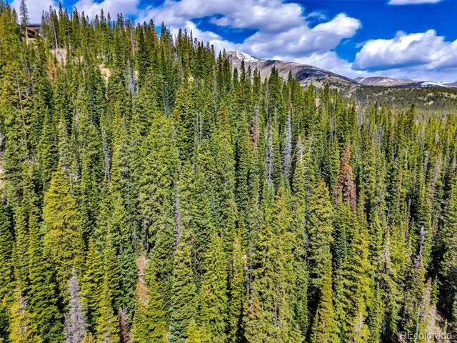 105 & 71 Quandary View Ln Breckenridge, CO 80424
